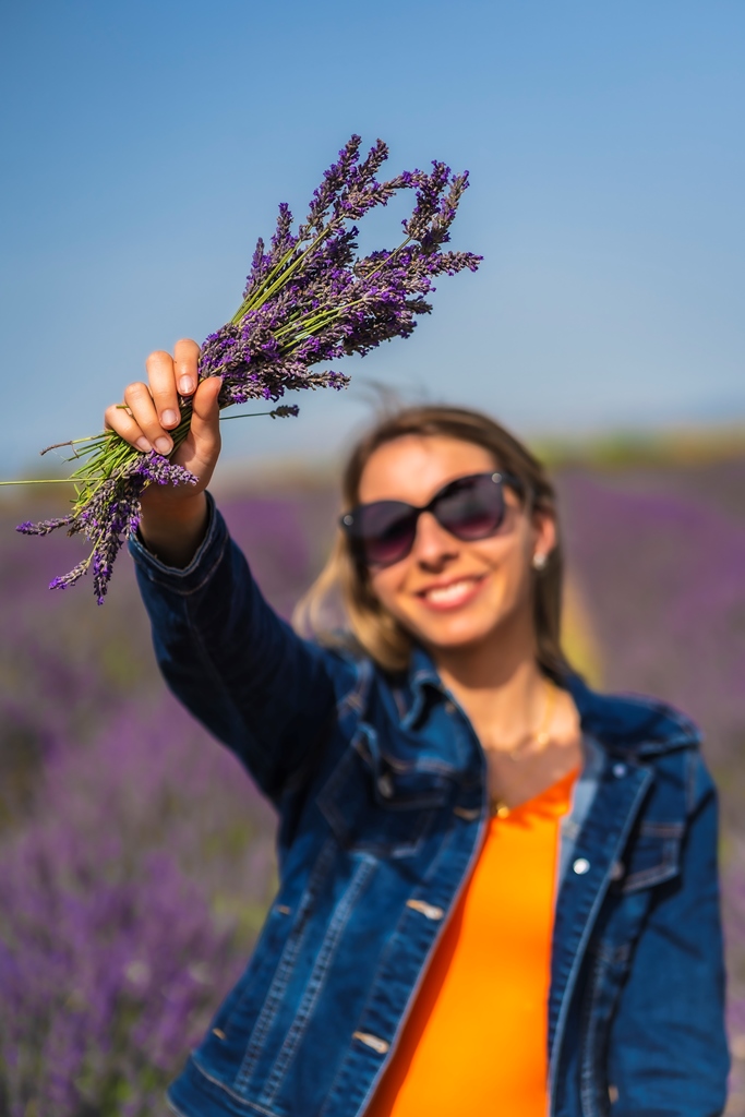 Cmapos lavanda Olite Navarra